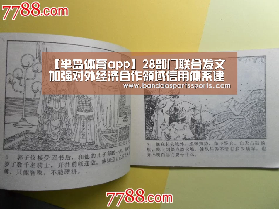 半岛体育app