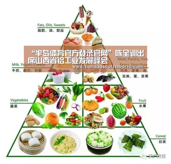 “半岛体育官方登录官网”陈全训出席山西省铝工业发展峰会(图2)