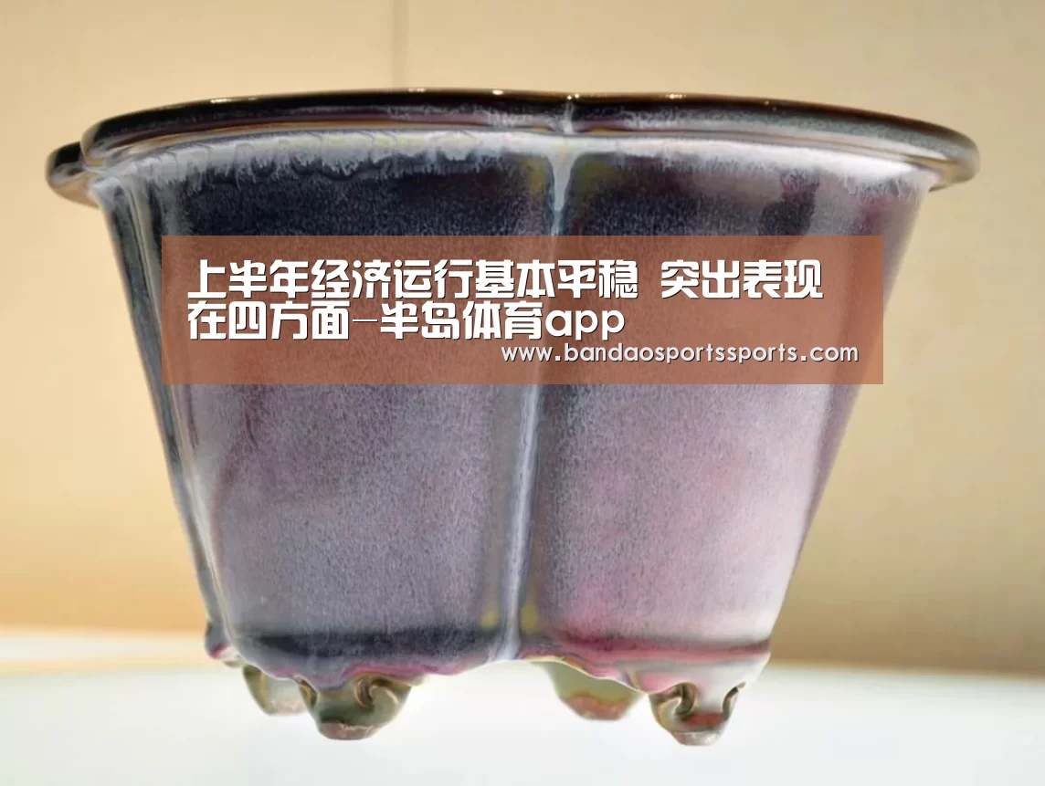上半年经济运行基本平稳 突出表现在四方面-半岛体育app(图2) 半岛体育app