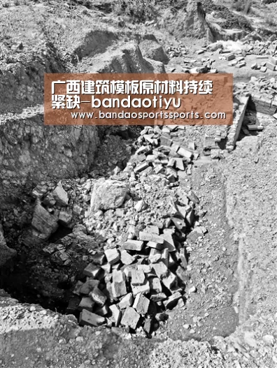 广西建筑模板原材料持续紧缺-bandaotiyu(图4)